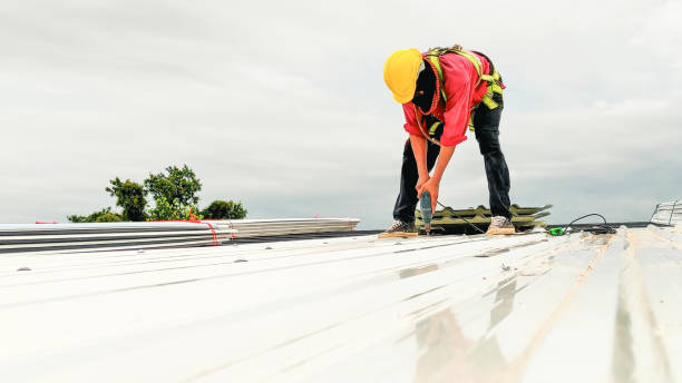 Best Green or Eco-Friendly Roofing Solutions  in St Michaels, MD