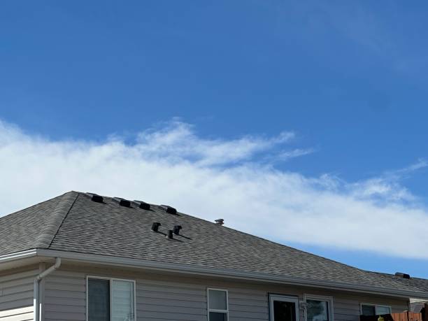 Best Skylight Installation and Repair  in St Michaels, MD